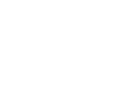 The North American Menopause Society Logo