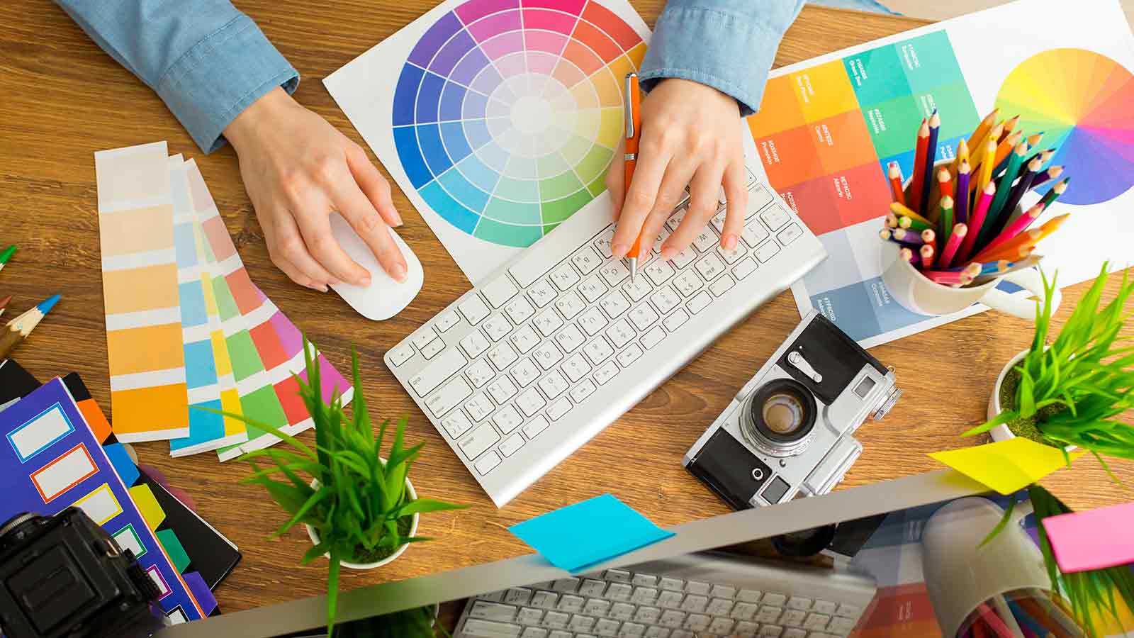 A creative director immersed in a graphic design project uses a computer keyboard and mouse, surrounded by vibrant color palettes, a camera, and a plant on a wooden desk. This scene is not just about creativity; it's an insight into life's lessons on patience and attention to detail.