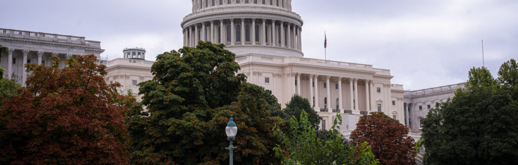 The Capitol Building