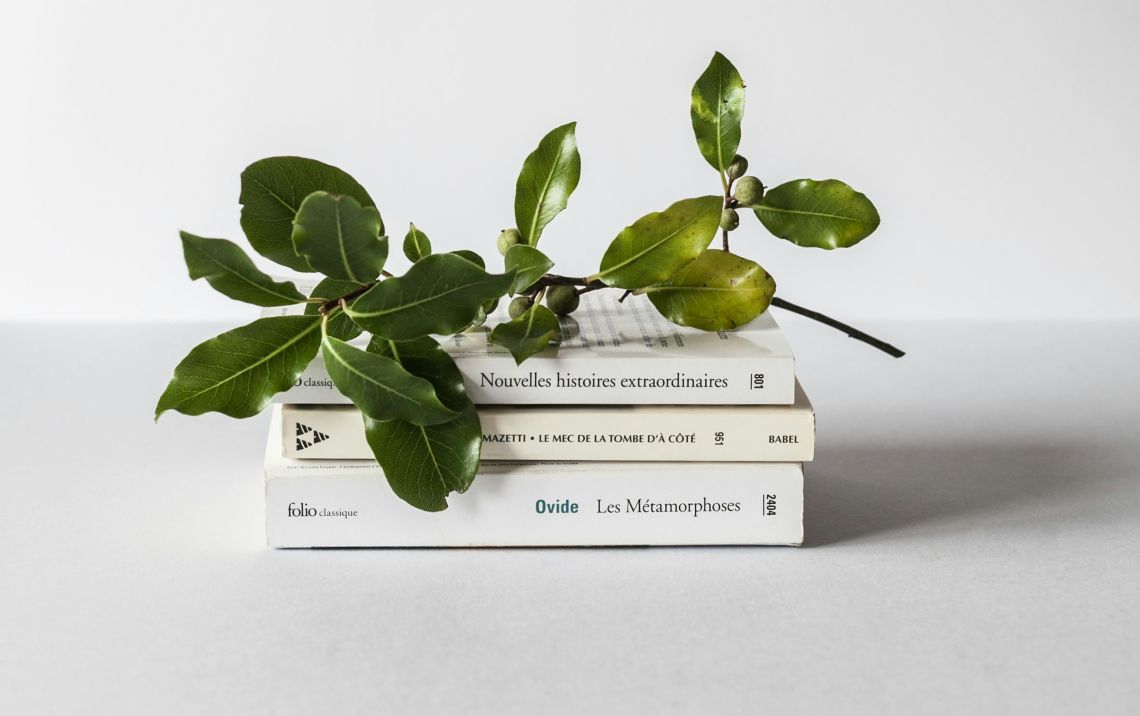 Why 'Evergreen Content' Isn't Enough Anymore | Falls & Co.