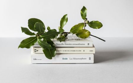 Why ‘Evergreen Content’ Isn’t Enough Anymore